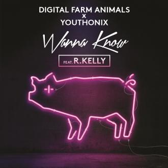 Digital Farm Animals X Youthonix - Wanna Know Fe. R Kelly (New) (Jay Pryor Remix)