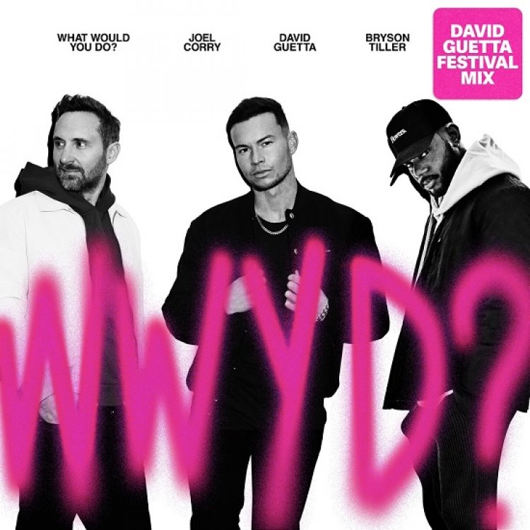 What Would You Do? (David Guetta Festival Mix)