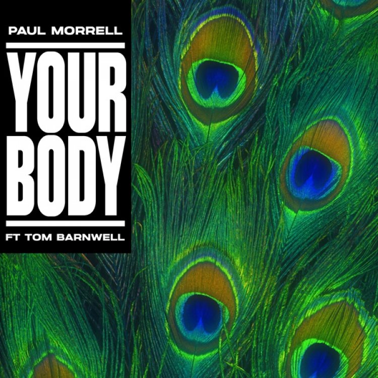 Your Body ft Tom Barnwell